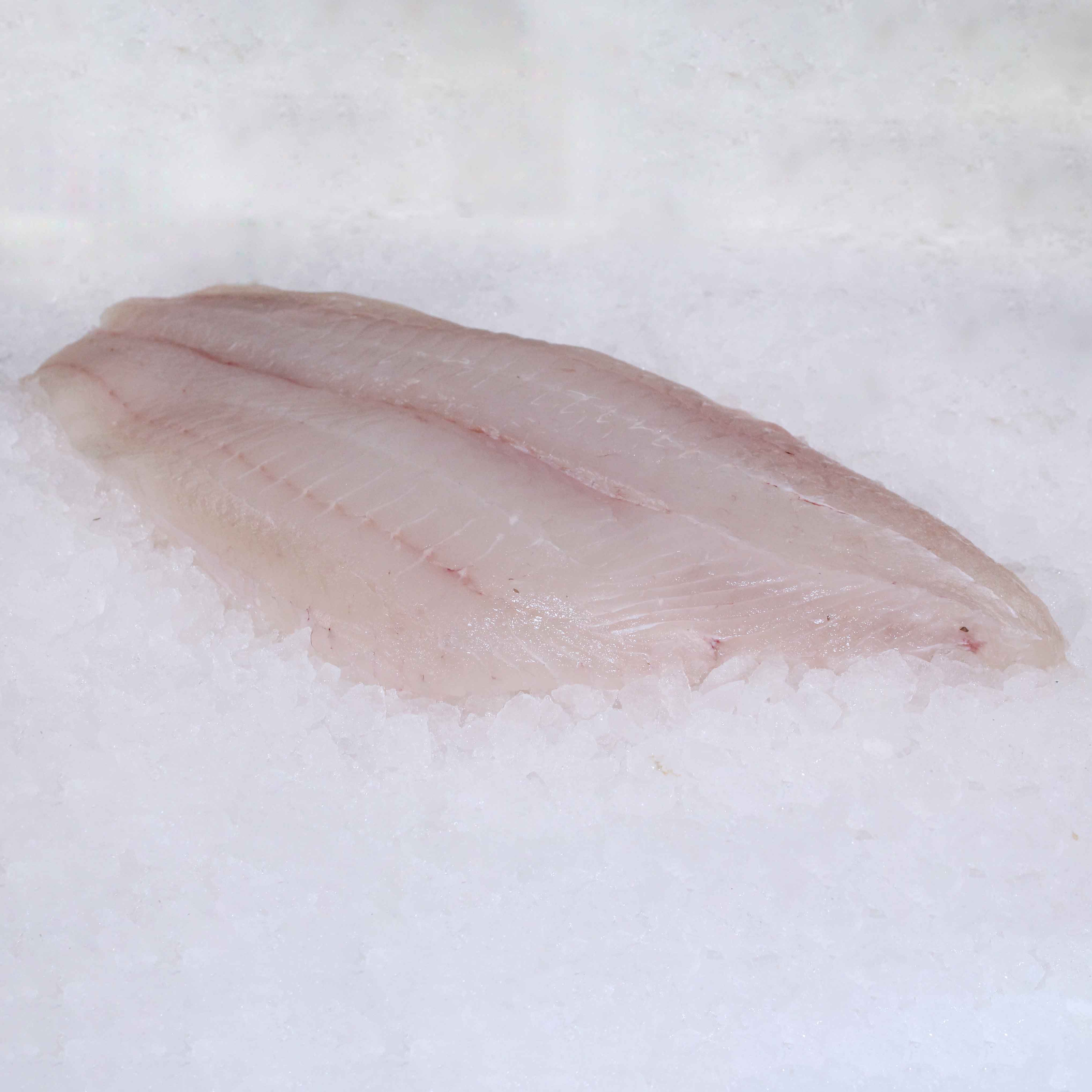 <strong>Fluke</strong>