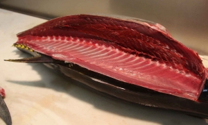 tuna_cut.jpg